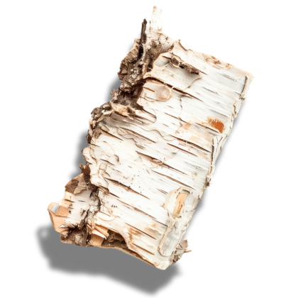 the_every-ingredient-birch_bark_extract