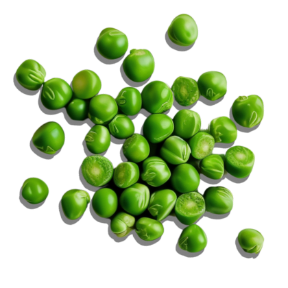 the_every-ingredient-pea_protein