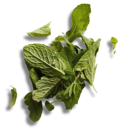 the_every-ingredient-peppermint-extract