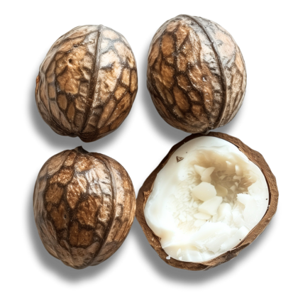 the_every-ingredient-shea_nuts