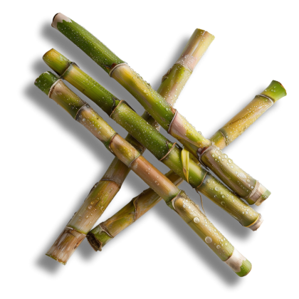 the_every-ingredient-sugar_cane